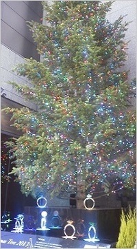 mikimoto-tree2013.JPG